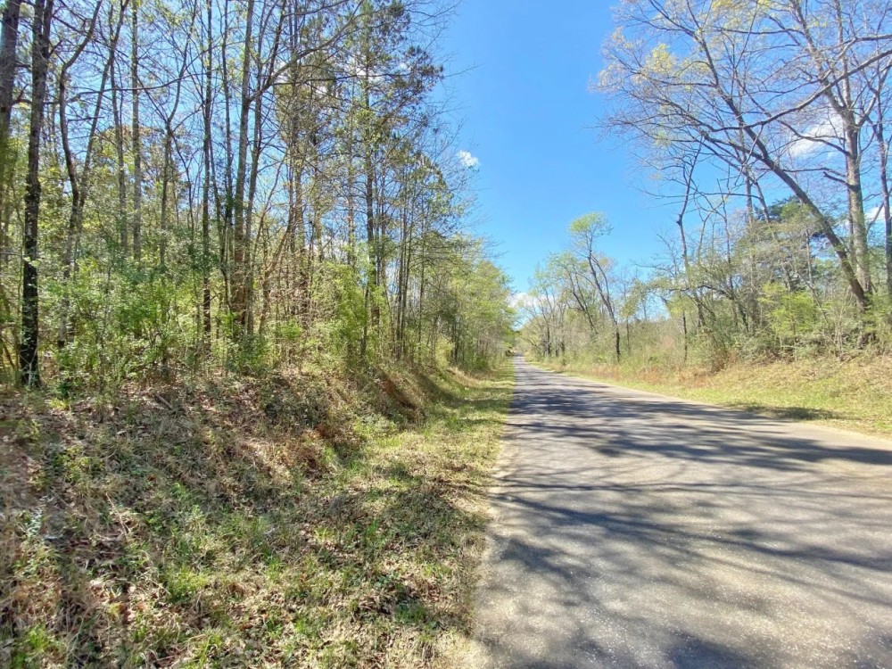 46.41acres right outside city limits featured image