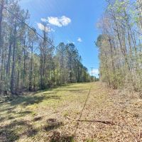 46.41acres right outside city limits images 2