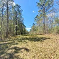 46.41acres right outside city limits images 4