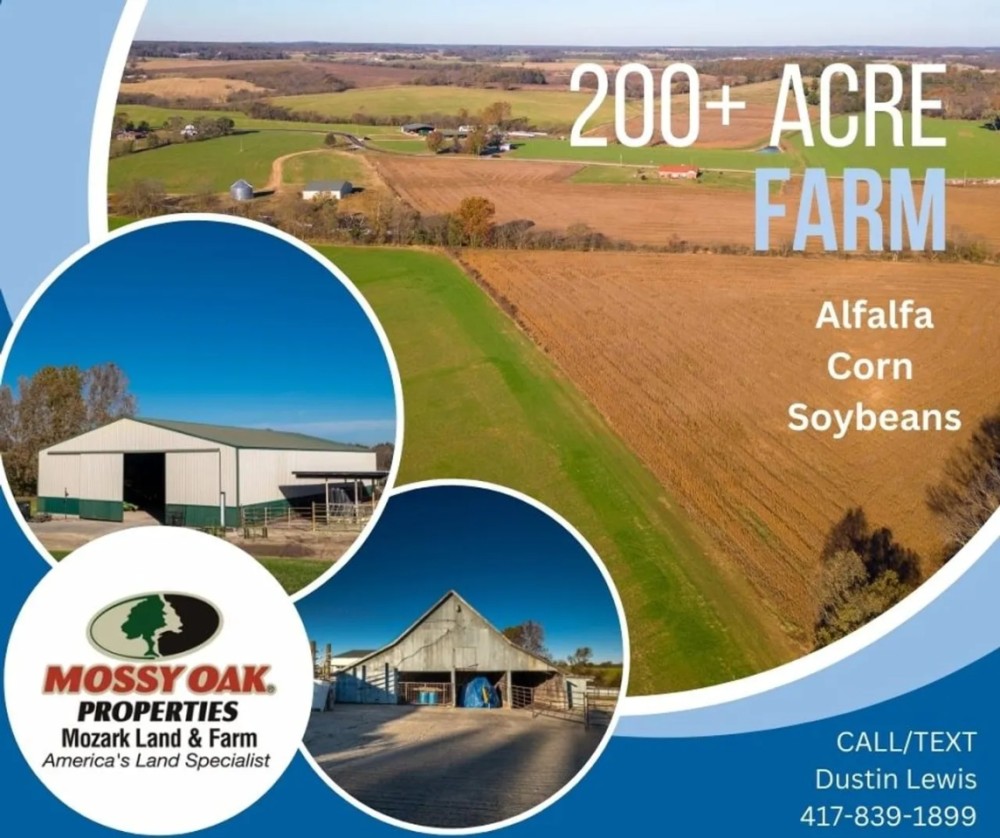 Alfalfa Farm featured image