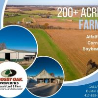 Alfalfa Farm