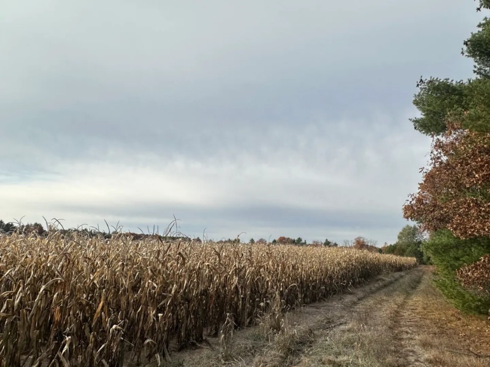 147 - Acres Outdoor Paradise in Waushara County WI featured image