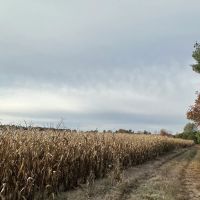 147 - Acres Outdoor Paradise in Waushara County WI images 1