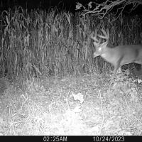 147 - Acres Outdoor Paradise in Waushara County WI images 2