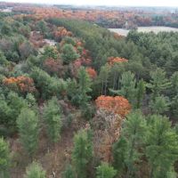 147 - Acres Outdoor Paradise in Waushara County WI images 3