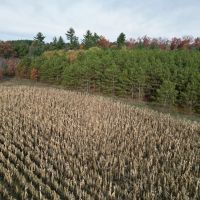 147 - Acres Outdoor Paradise in Waushara County WI images 4