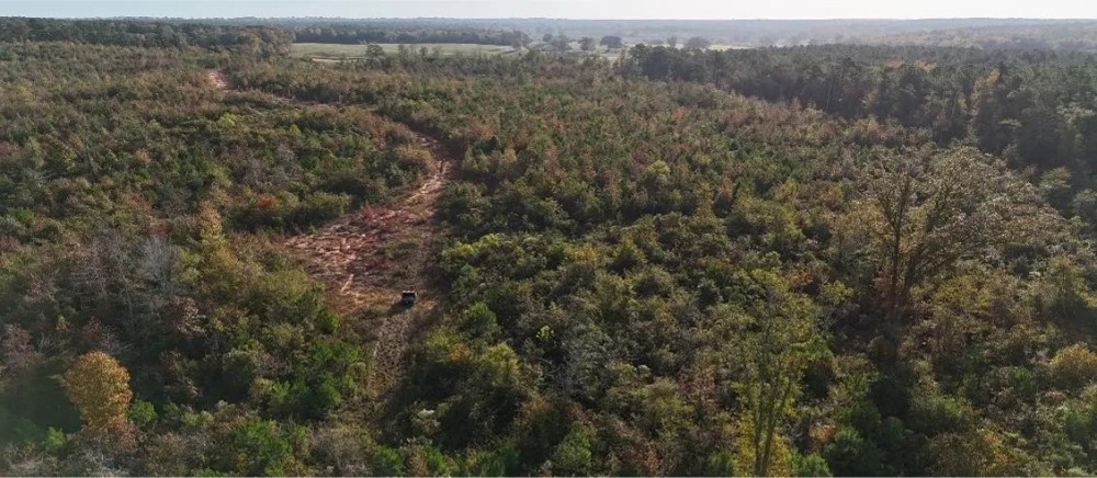 274 Acres in Winston County in Louisville MS featured image