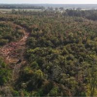 274 Acres in Winston County in Louisville MS