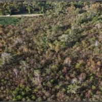 274 Acres in Winston County in Louisville MS images 2