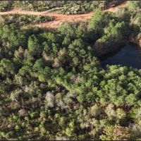 274 Acres in Winston County in Louisville MS images 3