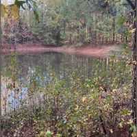 274 Acres in Winston County in Louisville MS images 5