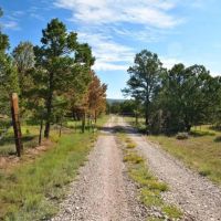Purple Rock Ranch images 2
