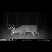 54 acres of prime land in Adams County Ohio