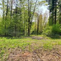 8.6 acre Woodlands on Snowmobile Trail Williamstown NY