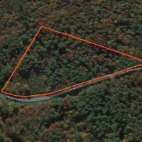 8.6 acre Woodlands on Snowmobile Trail Williamstown NY images 4