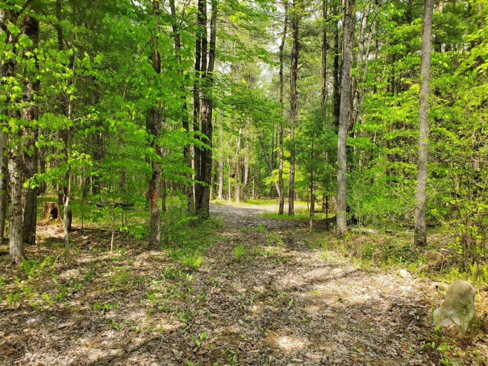 7 acres Hunting Land Near State Land Williamstown NY featured image