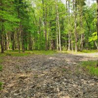 7 acres Hunting Land Near State Land Williamstown NY images 2