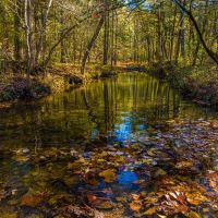 484 - Acres 2 Houses 25 acre Lake Strawberry River Pasture Woods Evening Shade Arkansas images 4