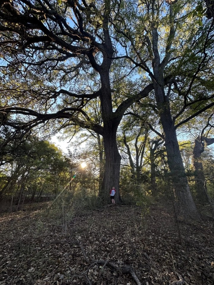 Land for sale in Lampasas TX - 20 acres featured image