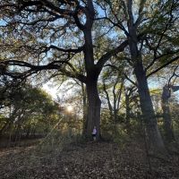 Land for sale in Lampasas TX - 20 acres