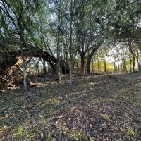 Land for sale in Lampasas TX - 20 acres images 3