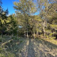Land for sale in Lampasas TX - 20 acres images 4