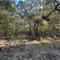 Land for sale in Lampasas TX - 20 acres images 5