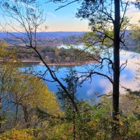 Virgin Bluff Lake Property images 4