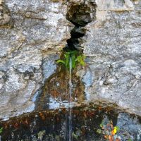 Virgin Bluff Lake Property images 5