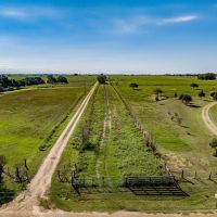 1625 CR 229 in Schulenburg images 4