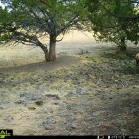 Little Beech Creek Ranch