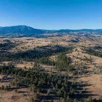 Little Beech Creek Ranch images 2