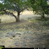 Little Beech Creek Ranch images 4