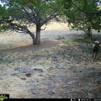 Little Beech Creek Ranch images 5