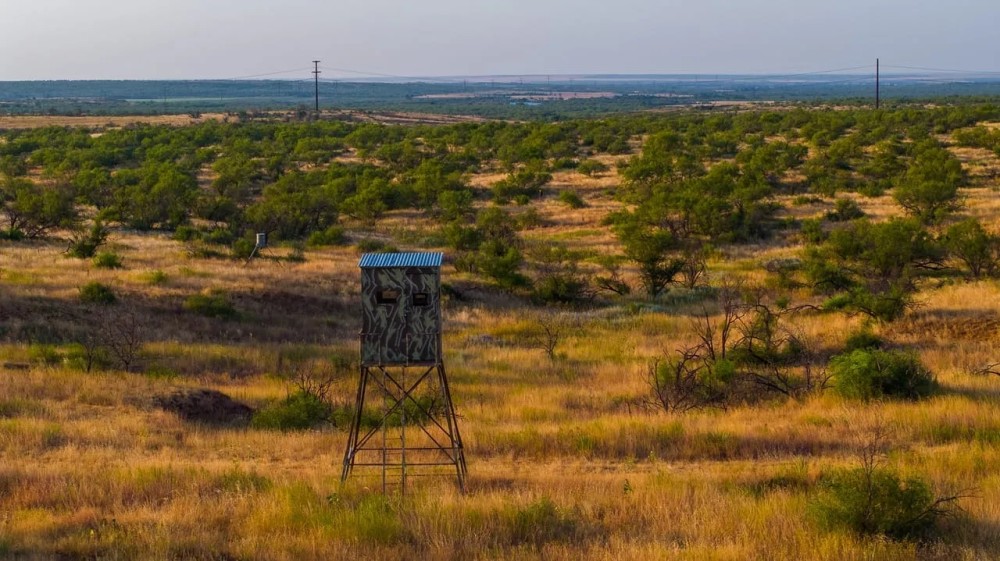 640 Acre Exceptional Hunting Land Childress TX featured image