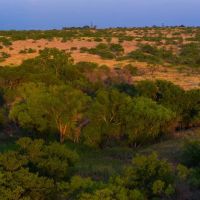 640 Acre Exceptional Hunting Land Childress TX images 2