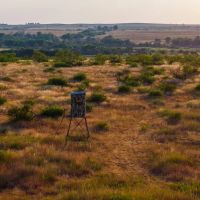 640 Acre Exceptional Hunting Land Childress TX images 3