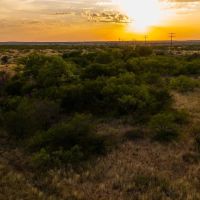 640 Acre Exceptional Hunting Land Childress TX images 4