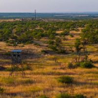 640 Acre Exceptional Hunting Land Childress TX images 5