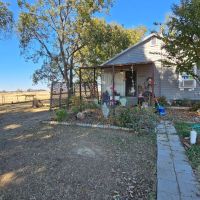 Home on 8.8 Acres in Bolivar County MS images 4