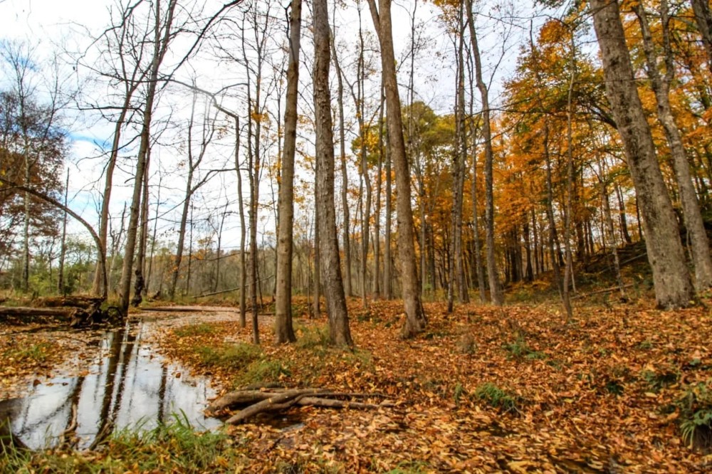 Waymor Rd - 22 acres - Guernsey County featured image