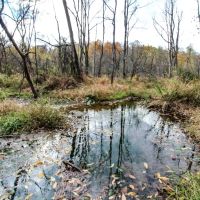Waymor Rd - 22 acres - Guernsey County images 4