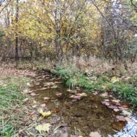 Waymor Rd - 22 acres - Guernsey County images 5
