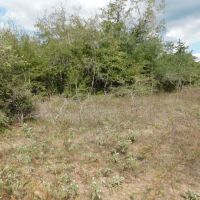 TBD Brown Road in Flatonia images 3