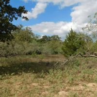 TBD Brown Road in Flatonia images 5