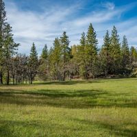 Mount Baldy Ranch images 5