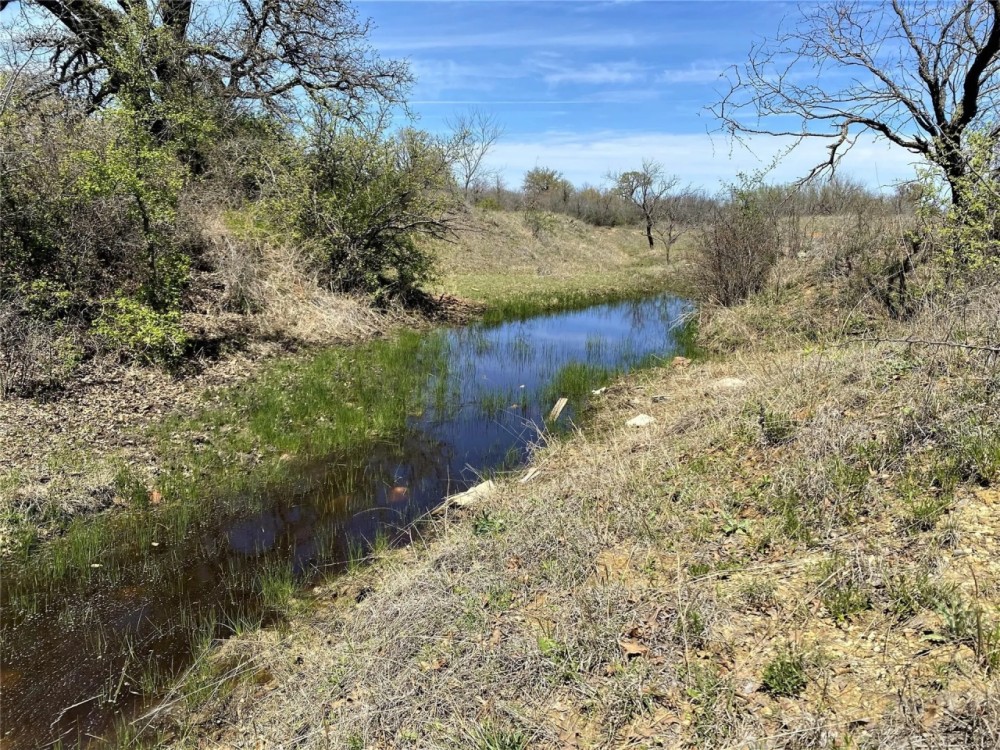 Back on Market 11.55 Ac CR 327 Gorman featured image