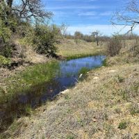 Back on Market 11.55 Ac CR 327 Gorman