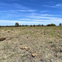 Back on Market 11.55 Ac CR 327 Gorman images 2
