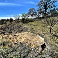 Back on Market 11.55 Ac CR 327 Gorman images 5